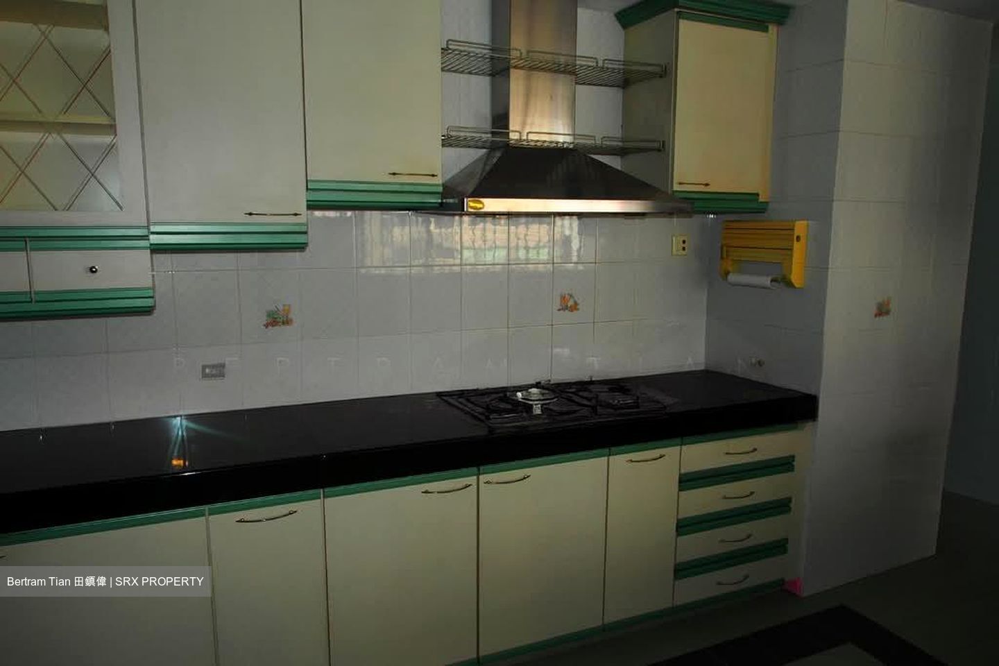 Cairnhill Plaza (D9), Apartment #553310911